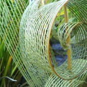 Hapene Flax Hapene Flax